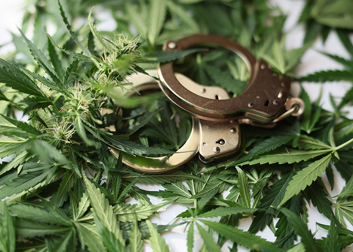 Marijuana Defense in Rhode Island